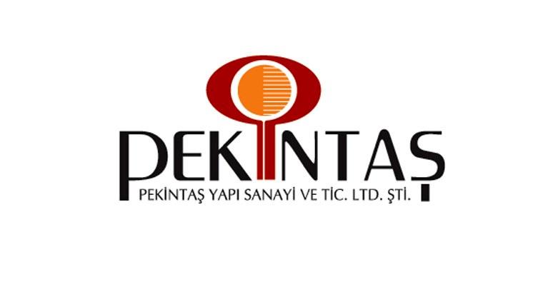 pekintaş-min.jpg